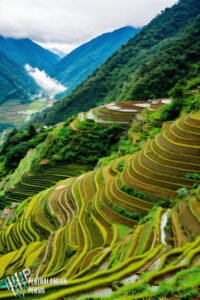 Keindahan Sapa Vietnam: Surga Tersembunyi di Pegunungan Utara